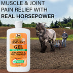 Absorbine Veterinary Liniment Gel, 12 oz Bottle
