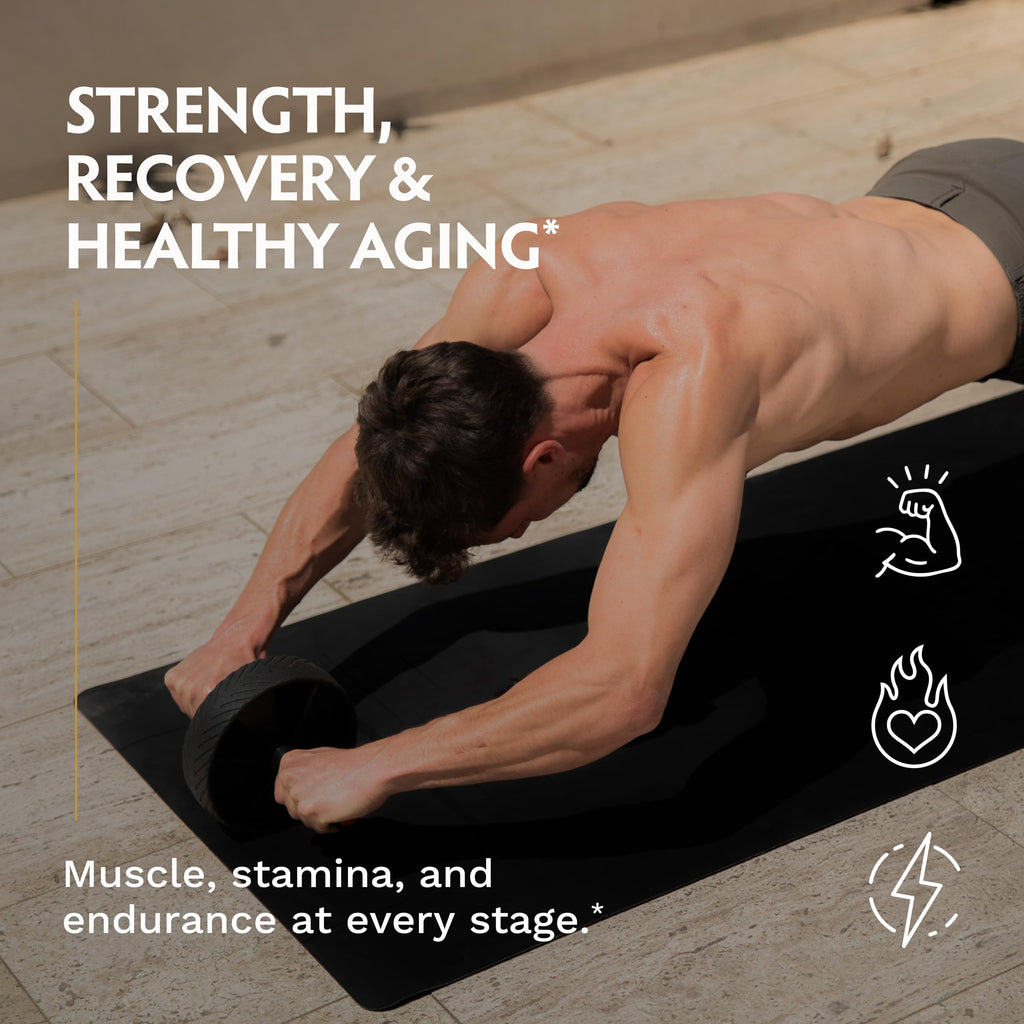TRIBE ORGANICS Ashwagandha Gold for Men - Clinical Testosterone Booster for Men with KSM-66, LJ100 Tongkat Ali & PrimaVie Shilajit - Premium Energy, Strength, Vitality & Stress Support with AstraGin