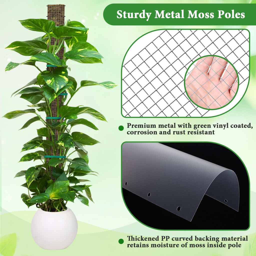 MUDEREK 6 Pack D Shape Sphagnum Moss Pole-24+40"+60"