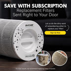 PuroAir 240 Replacement Filter - Genuine 240 Filter Replacement (2PK)