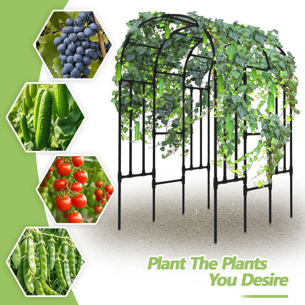Trellis for Climbing Plants Outdoor - Cucumber Trellis Size:71*47* 79 inch