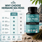 HerbaMe Organic Sea Moss Supplement with Bladderwrack & Burdock Root, Irish Moss with Black Pepper Extract, Daily Mineral Support for Energy & Wellness, Immune Support for Men & Women, 150 Capsules