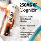 BUM Sugar Free Energy Drink, Nootropics, Root Beer 12 Pack, 12 Fl Oz
