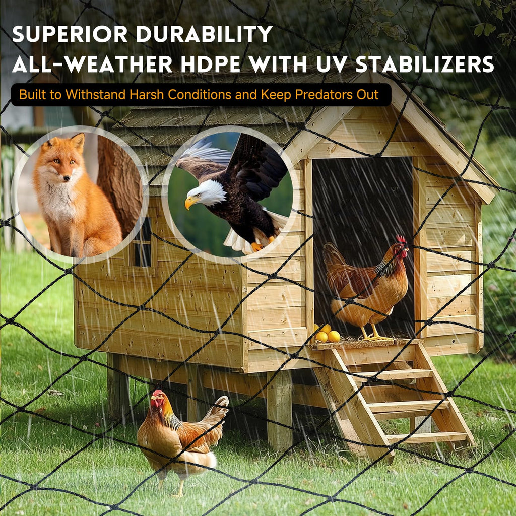 Heavy Duty Aviary Netting 25x50 ft, 1" Mesh Reinforced HDPE Poultry Netting, Anti-Tangle Bird Netting for Chicken Coop, Hawk Deterrent for Chickens, Garden & Crop Protection