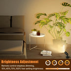LED Spotlights Indoor, 5W Plants Uplighting with Remote Control Dimmable & Timer, Uplights Indoor Floor Spot Lights for Painting, Picture, Artwork, Accent Stick on Wall Light with 5.9 FT Plug Cord