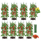 8PCS Tomato Cages for Garden, Tomato Trellis for Raised Garden Bed, 51.2" Tall Cage Plant Support for Pots, Gardening Supplies Trellis for Climbing Plants (8PCS，High: 51.2 Inch)