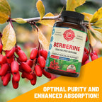 1200mg Berberine Herbal Health Capsules Support Heart and Cardiovascular Health, Help Maintain Healthy Cholesterol, Triglyceride, Blood Sugar Levels, Supports Digestion, Boosts Metabolism, 60 Capsules