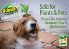 OdoBan Outdoor and Yard Odor Eliminator, Plant-Friendly Formula, Made in the USA, Clean Fresh Scent, 32 Fluid Ounce Bottle with Hose End Sprayer, 2-Pack