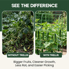 48x48 Cucumber Trellis for Raised Bed - U Shape Vegetable Garden Trellis for Climbing Plants Outdoor - Support for Cucumbers, Pea, Zucchini, Squash,Tomato, Green Bean, Vine, Watermelon, Melon, Pumpkin