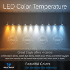 Great Eagle A19 LED Light Bulbs 60 Watt Equivalent - UL Listed - Cool White 4000K LED Light Bulb - 9W Non Dimmable, 800 Lumens (6 Pack)