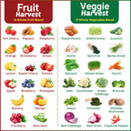 Supermed Research Fruits and Vegetables Supplements – 2 Pack Combination Fruit & Veggies Supplement – Whole Food Vitamins & Minerals for Adults – Superfood Veggie Vitamins for Adults (180 x 2, 360 Ct)