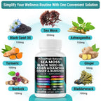 PrimalPeak Naturals Sea Moss Black Seed Oil Ashwagandha Ginger Burdock Bladderwrack Turmeric & Vitamin C Vitamin D3 with ACV Elderberry Chlorophyll Dandelion Yellow Dock Vegan Capsules - 120 Count