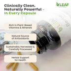 B’Leaf Nature Berberine Phytosome, 120 Capsules – 1100mg Berberine Supplement for Metabolic and Cardiovascular Support – Vegan, Gluten-Free, Non-GMO Berberine Phytosome Capsules for Immune Wellness