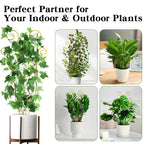 ZOUTOG Trellis for Climbing Plants Indoor 4 Pack 30 Inch,Rustproof Metal Garden Trellis for Potted Plants,Sturdy Houseplant Support Indoor Outdoor for Ivy Pothos Monstera Hoya Flower Vine(Golden Moon)
