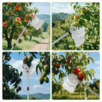 BURMONG 13.8 FT Telescoping Fruit Picker Pole with Soft Basket, Long Reach Tree Fruit Harvester Tool for Apple, Mango, Orange & More, Extendable Fruit Picking Tool for Garden Orchard