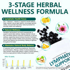 FANSHI Lymphatic Drainage Supplements 240 Softgels | Herbal Blend with Echinacea, Dandelion & Burdock Root | Promotes Healthy Circulation & Fluid Balance | Supports Overall Daily Wellness