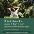 Gaia Herbs Ashwagandha Root - Stress Relief & Sleep Support Supplement - Supports Balanced Energy Levels & Positive Outlook* - 60 Vegan Liquid Phyto-Caps (30 Servings)