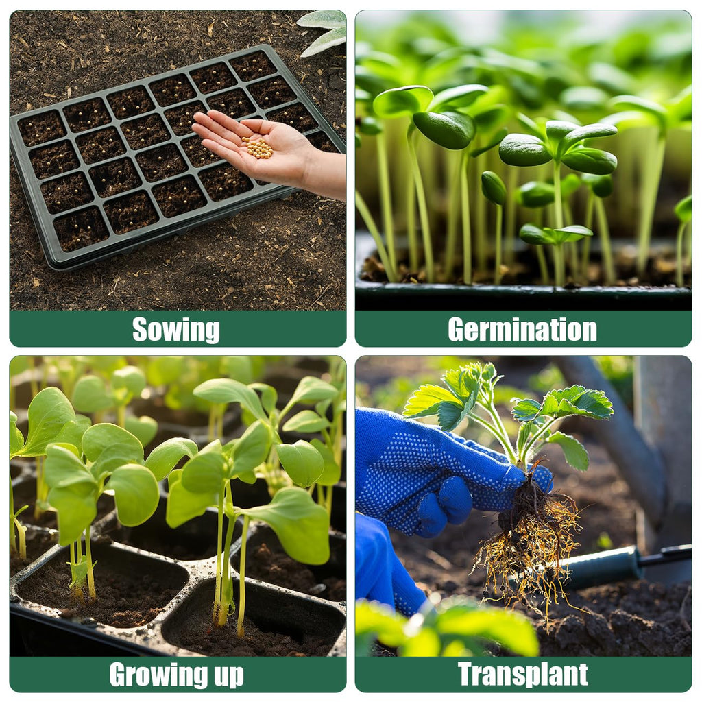 5-Pack Seed Starter Trays with Humidity Dome & Large 24-Cell Plug Trays