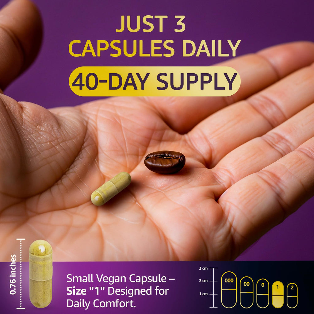 Sea Moss Capsules – 17-in-1 Blend with Black Seed Oil Ashwagandha Bladderwrack Burdock Root Turmeric Vitamin D3 K2 C for Daily Wellness – Multimineral Supplement for Men & Women – 120 Count