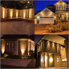 Mlambert 12 Pack MR16 LED Bulbs 50W Halogen Equivalent,2700K Warm White,5W GU5.3 MR16 12V Spotlight Bulb,Non-Dimmable,45° Beam Angle for Landscape