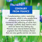 Klorane Anti -Yellowing Shampoo with Centaury for Blonde, White, Silver, Pastel Hair with Natural Blue Pigments, 6.7 Fl Oz (Pack of 1)
