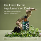 Gaia Herbs Black Elderberry Syrup - Made with Organic Black Elderberries (Sambucus nigra) for Immune System Support* - USDA Certified Organic Formula - 5.4 Fl Oz (About 32 to 128 Servings)