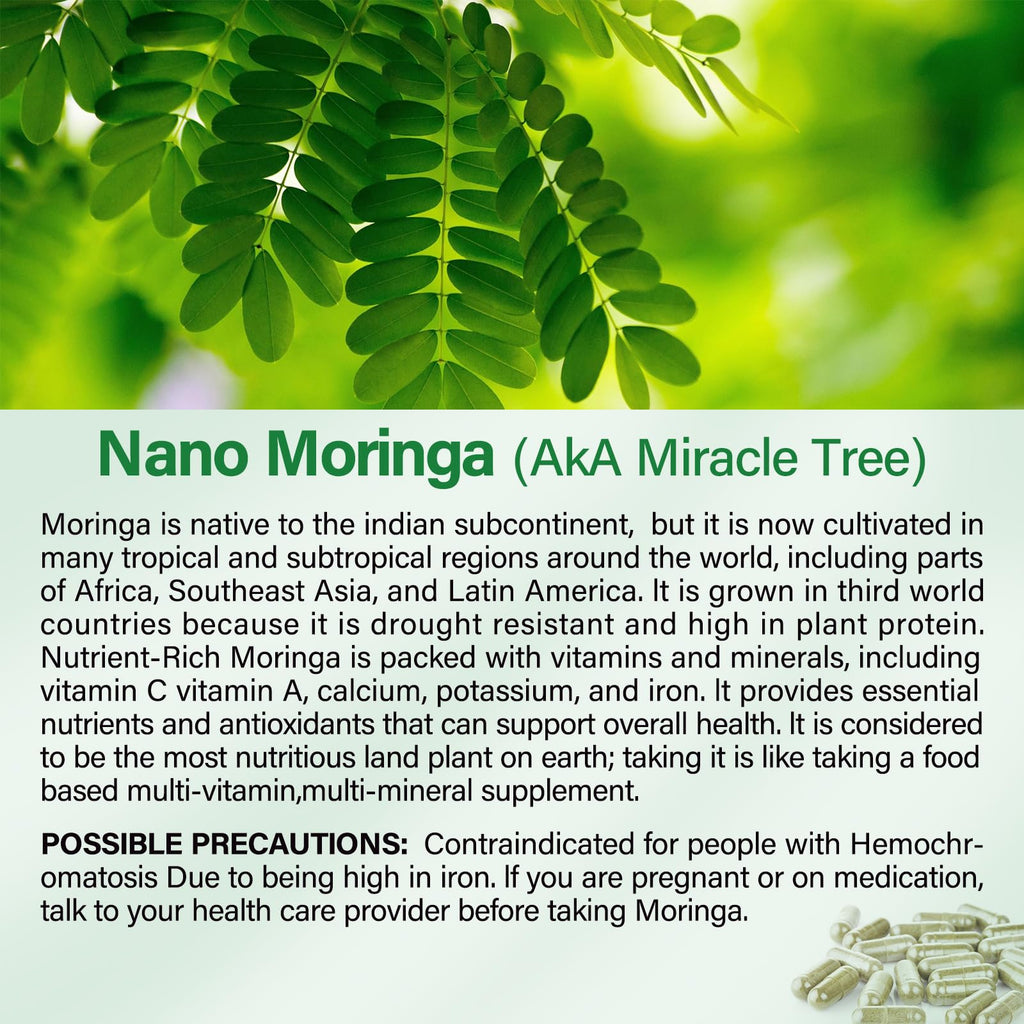 Bcuelov Moringa Capsules 2 Bottles | 800mg Pure Moringa Powder Capsules – Supports Energy, Immune Support, Gut Health, Green Superfood Contains Vitamins & Amino Acids