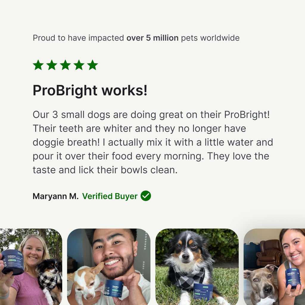 PetLab Co. ProBright Dental Powder for Medium Sized Dogs
