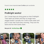 PetLab Co. ProBright Dental Powder for Medium Sized Dogs