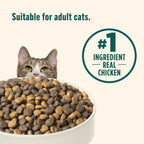 Nutrish Indoor Complete Chicken, Lentils & Salmon Recipe Dry Cat Food 14 lb. Bag, Packaging May Vary (Rachael Ray)