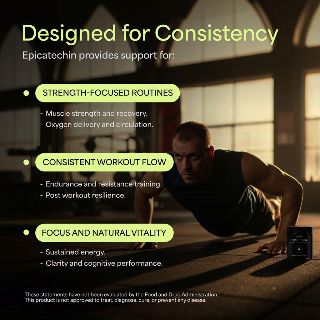 NÜCLEO FUNDAMENTALS High Purity Epicatechin - 90 Capsules - Promotes Strength & Muscle Growth - Nitric Oxide Support - for Daily Performance - Epicatechin Supplements Made in USA