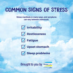 Boiron StressCalm Tablets for Relief of Stress, Anxiousness, Nervousness, Irritability, and Fatigue - 120 Count