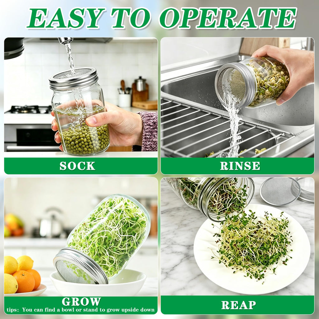 2-in-1 Seed Sprouting Set, Green Onion Regrower Kits Onion Planter Scallion