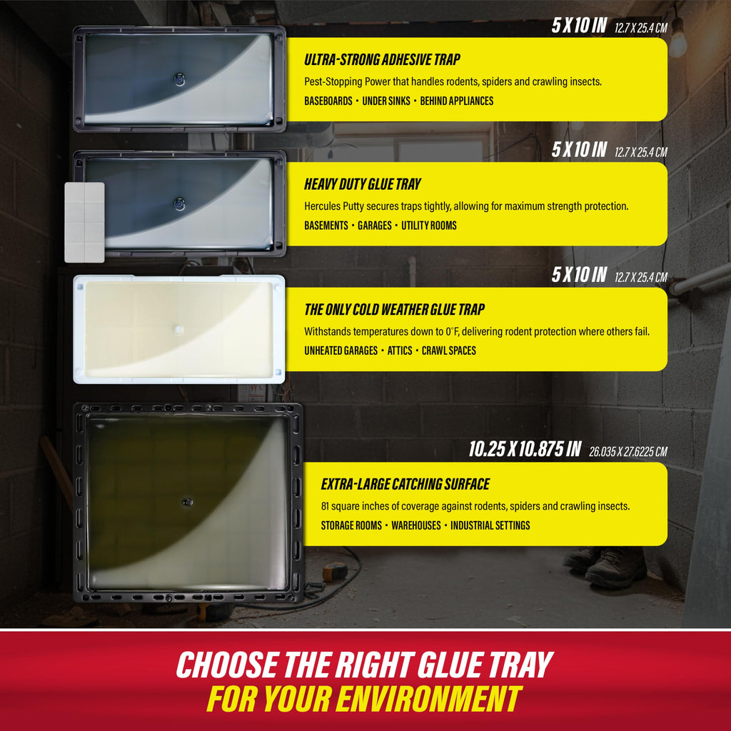 Catchmaster Rat & Mouse Glue Traps with Sticky Putty 6Pk, Large Bulk Glue Board, Rat & Mouse Traps Indoor for Home, Adhesive Plastic Tray for Snakes, Mice & Spiders, Pest Control for House & Garage