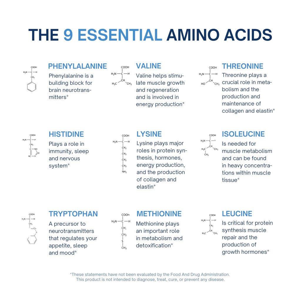ALTAGAMMA Pure Amino Acids Complex - Protein for Pre/Post Workout, Energy & Muscle Recovery - 9 Essential Amino Acids Supplement (EAA) & BCAAs - Leucine, Lysine, L Tyrosine, L Arginine, 60 Capsules