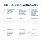 ALTAGAMMA Pure Amino Acids Complex - Protein for Pre/Post Workout, Energy & Muscle Recovery - 9 Essential Amino Acids Supplement (EAA) & BCAAs - Leucine, Lysine, L Tyrosine, L Arginine, 60 Capsules