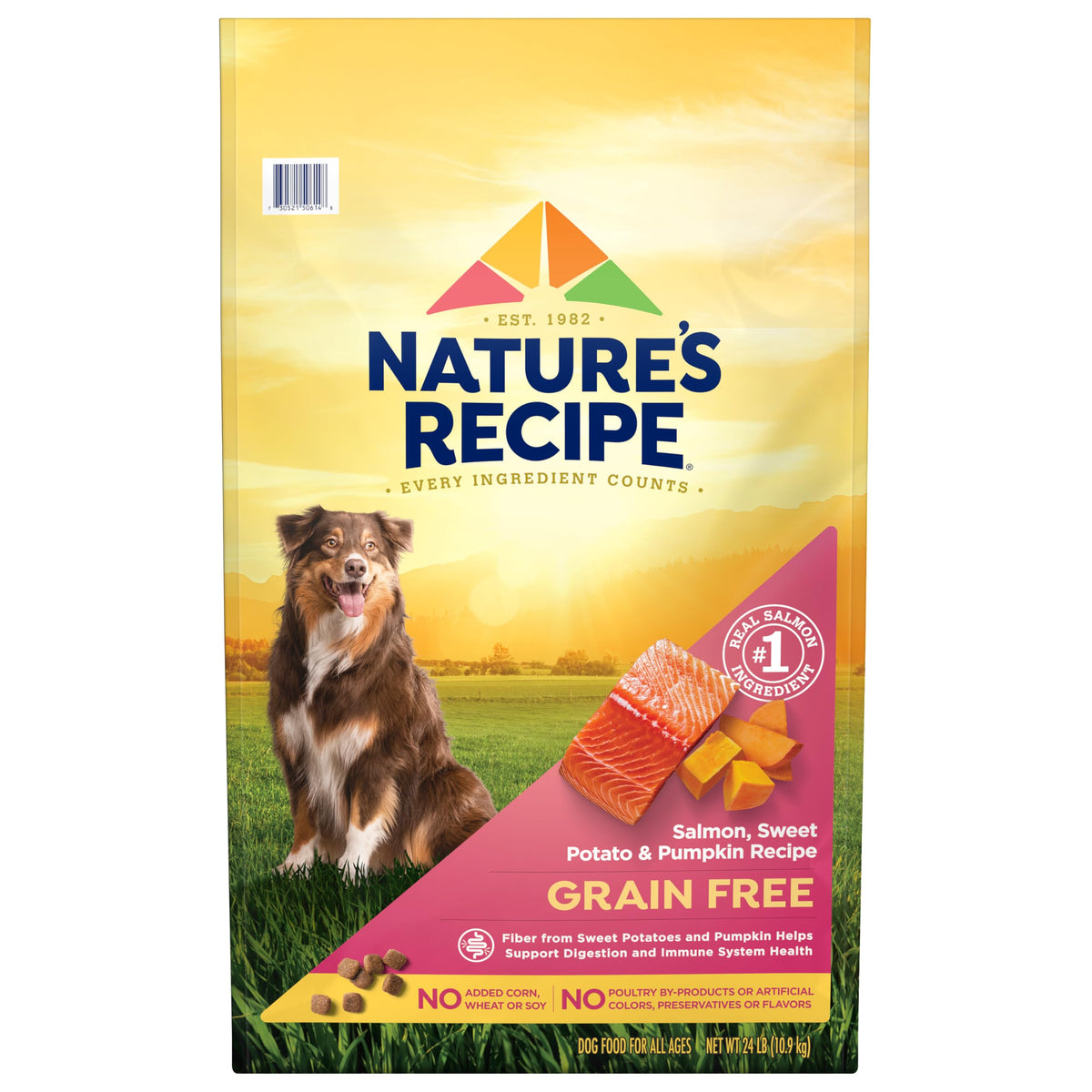 Nature's Recipe Grain Free Salmon Dry Dog Food, 24 lb. Bag