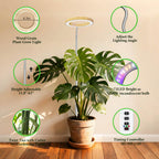 Grow Lights for Indoor Plants Full Spectrum,6.3" LED Wood Grain Plant Grow Light, 9.8-65in Height Adjustable Plant Lights Growing Lamp with Auto Timer 3H/9H/12H,10 Dimmable Levels (Wood Grain 1 Pack)