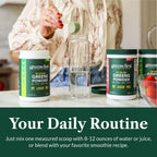 Greens First Original Greens Powder - 49 Superfoods - Organic Fruits & Veggies - Prebiotics, Probiotics & Digestive Enzymes - Antioxidant Smoothie - Dairy Free, Vegan & Non-GMO (Mint, 60 Servings)