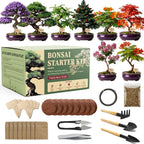 Bonsai Tree Starter Kit – 8 Varieties Indoor Bonsai Trees Plant Seeds with Drainage Design Pots, Gardening Gifts for Women, High-Value Plant Gifts