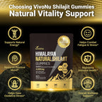VivoNu Shilajit for Men & Women Gummies | 4000mg High Potency 10-in-1 Formula with Pure Himalayan Shilajit, Ashwagandha, and 75% Fulvic Acid | Sugar-Free Vegan, 85+ Trace Minerals