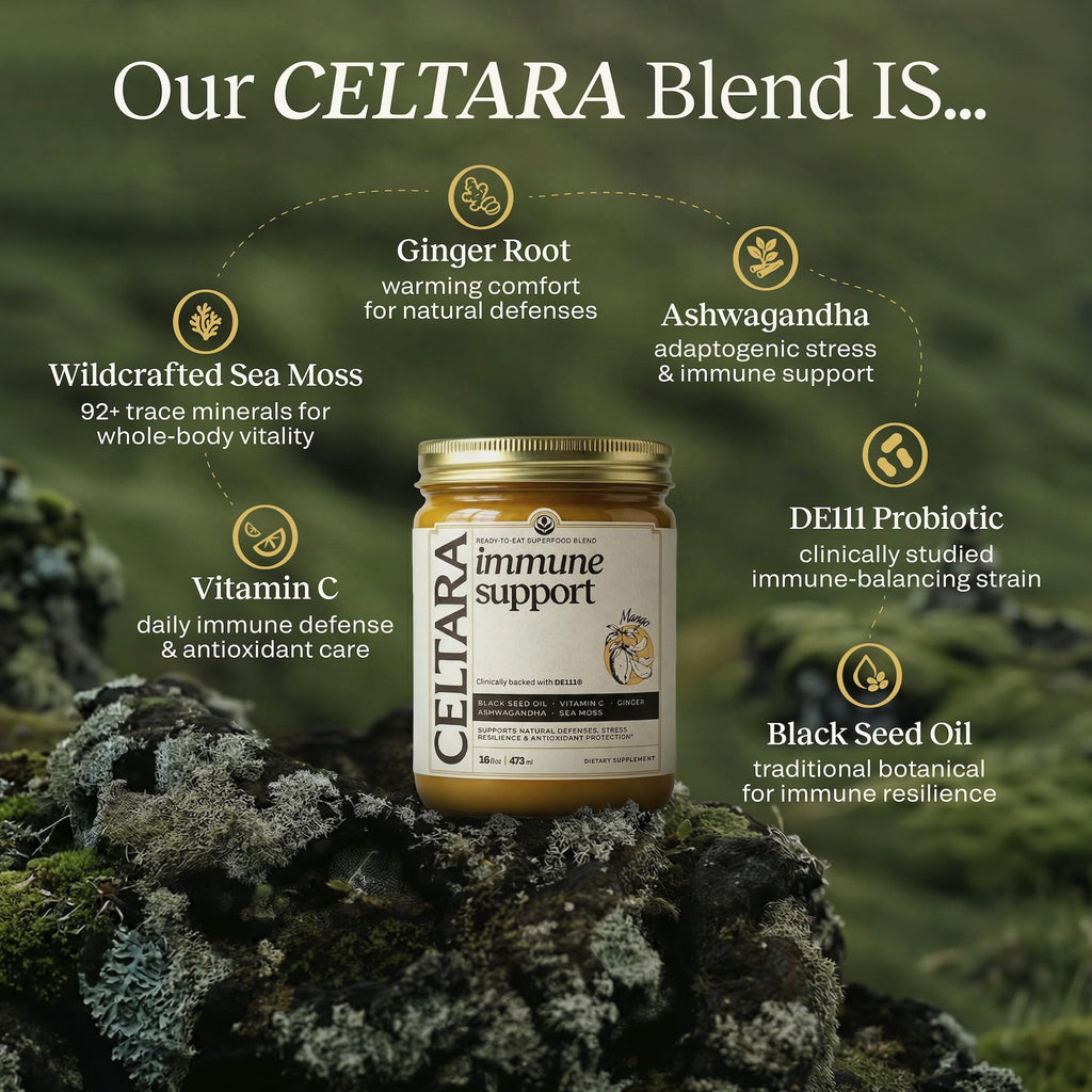 CELTARA Sea Moss Gel Mango Daily Blend, 15 Servings — 2 Tbsp Per Serving, Sea Moss 5.55g, Vitamin C, Magnesium, Potassium + Ashwagandha, Black Seed Oil, Ginger, Monk Fruit Sweetened, No Added Sugar