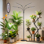 Kullsinss Grow Lights for Indoor Plants with Stand, 4-Heads Full Specturm Plant Grow Light with 4/8/12/16H Timer, 3 Color Modes, 360° Flexible Gooseneck, 24-68.7in Hight Adjustable Grow Lamp, Black