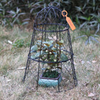 XMxoTxo 6 Packs 11.4" D x 17.7" H Garden Cloches for Plants,Upgraded Triple Combination,Rustproof Chicken Wire Cloches Flip-Top Design,Plant Protectors from Animals,Ideal for Outdoor Plant Protection