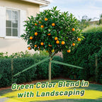 2,425 Lbs Strength Tree Straps, 216FT Tree Tie Support Straps for Staking