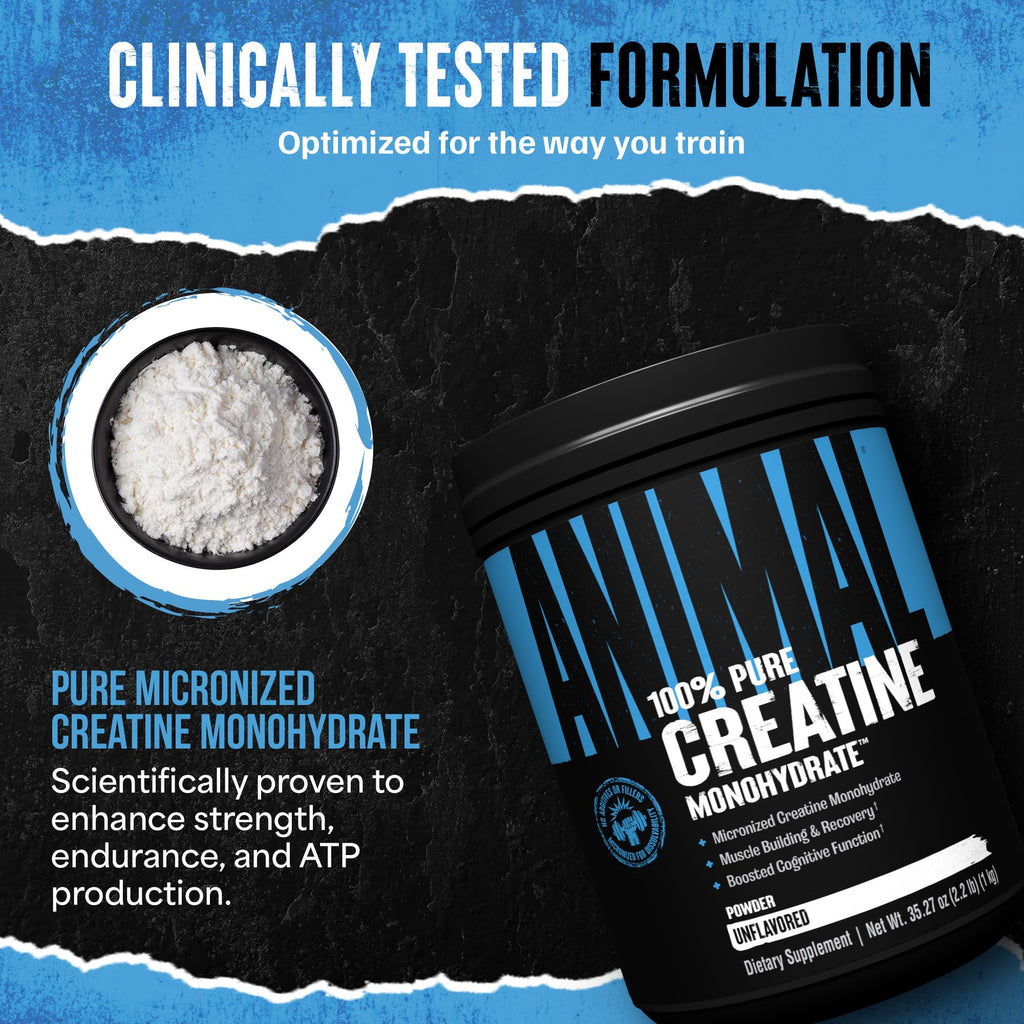 Animal Creatine Monohydrate Powder - Micronized Creatine for Women and Men, Supports Muscle Growth, Strength, Endurance, Recovery and ATP Production, Gym & Workout Supplements - Unflavored, 1kg