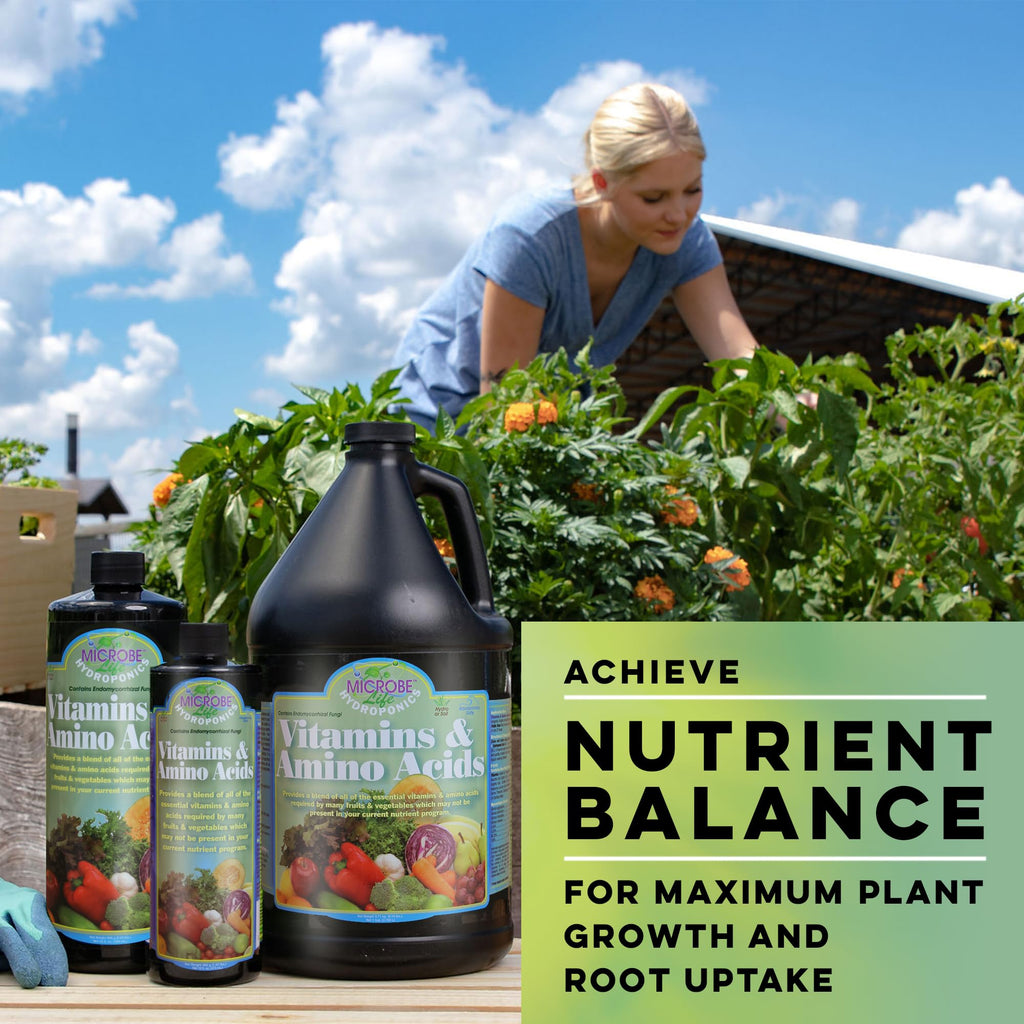 Microbe Life Hydroponics Premium Vitamins & Amino Acids Essential for Maximum Plant Growth and Root Uptake, Use with Any Feeding Systems Including Hydroponics or Soil, 32 Ounces