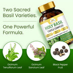 Organic Veda Holy Basil Capsules - Triple Complex Tulsi Leaf Supplement with Black Pepper Extract - Support Respiratory & Immune Health, Promotes Healthy Stress Response & Mood - 60 Vegan Capsules