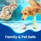 Hot Tub Defoamer - Pool, Fountain, & Spa - Antifoam Concentrate - Silicone Emulsion - Quickly Removes & Prevents Foam in Water - Eco Friendly & Safe Formula - Case of 6 X 1/2 Gallon (384oz)