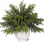 CCPanda 20 Pcs Christmas Artificial Norfolk Pine Branches 18" Real Touch
